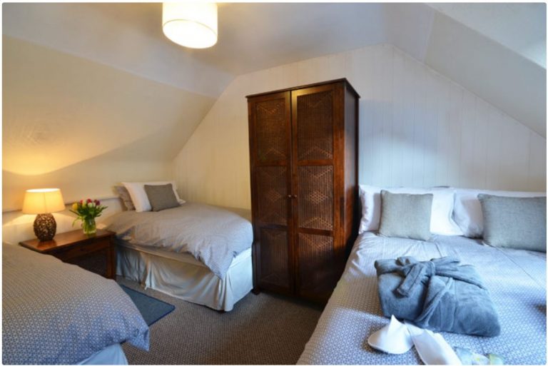 Seahorse Family Bed 768x513