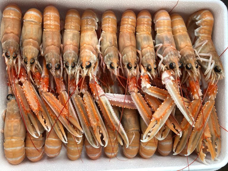langoustines 768x576