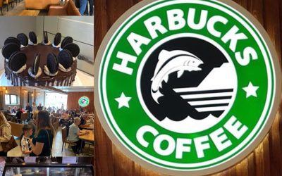 Harbucks Cafe at Gamrie Harbour